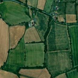 Moss map(satellite map)