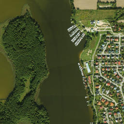 Satelita
