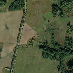 Satelita