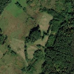 Satelita