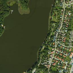 Satelita