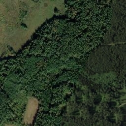 Satelita