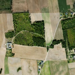 Satelita