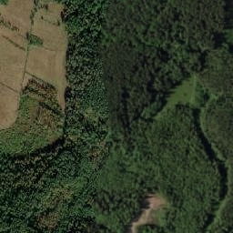 Satelita