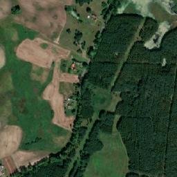 Satelita