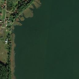 Satelita