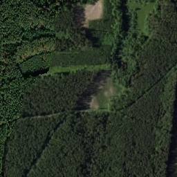 Satelita