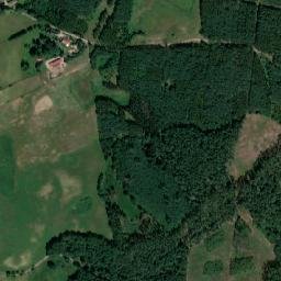 Satelita