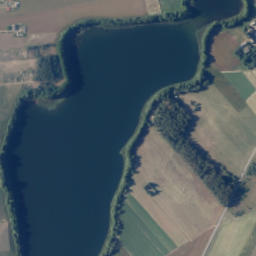 Satelita