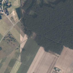 Satelita