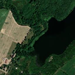 Satelita