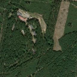 Satelita