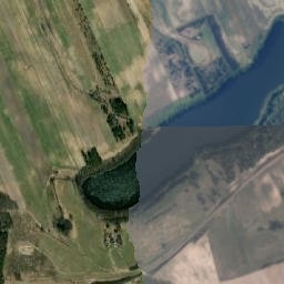 Satelita