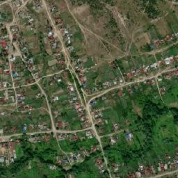 Zhadovka map(satellite map)