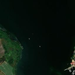 Satelita