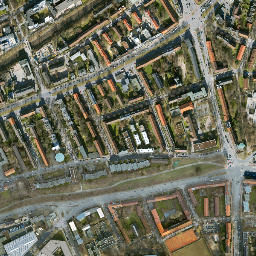 Borgfelde map(satellite map)