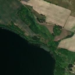 Satelita