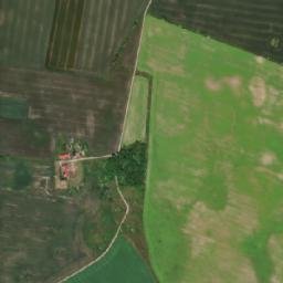 Satelita