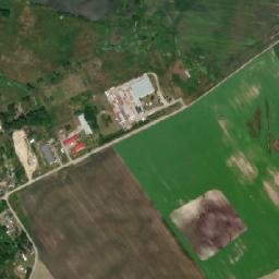 Satelita