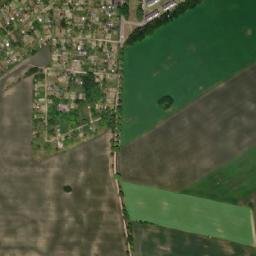 Satelita