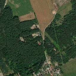 Satelita