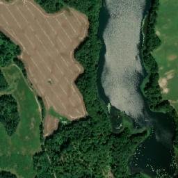 Satelita