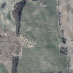 Satelita
