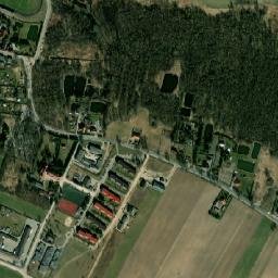 Satelita
