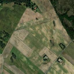Satelita
