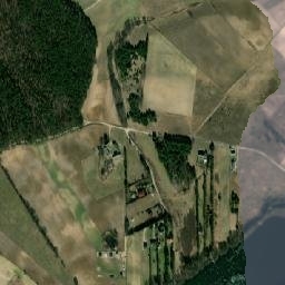 Satelita