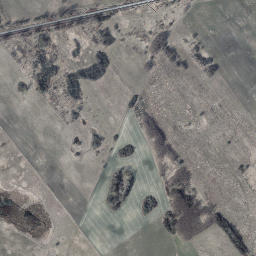 Satelita