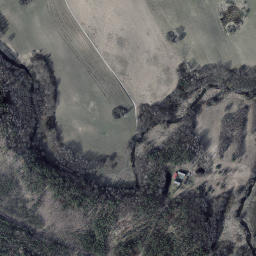 Satelita