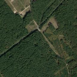 Satelita
