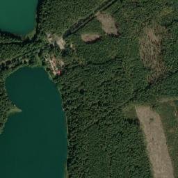 Satelita