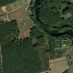 Satelita