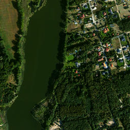 Satelita