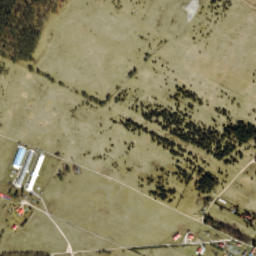 Satelita