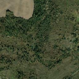 Khvastovichskiy Rayon map(satellite map)