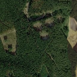 Satelita