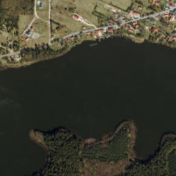 Satelita
