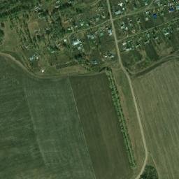 Logovskoye map(satellite map)