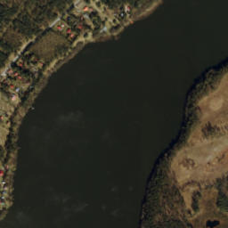 Satelita
