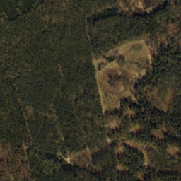 Satelita