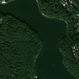 Satelita