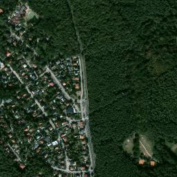 Satelita