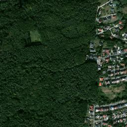Satelita