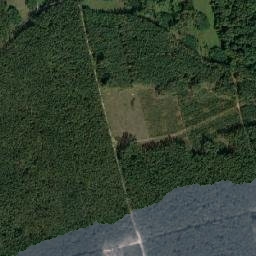Satelita