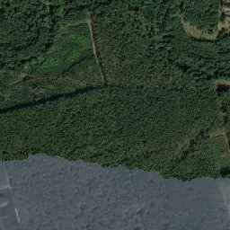 Satelita
