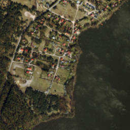 Satelita