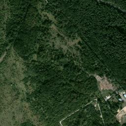 Satelita